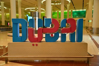 DSC_4070 (Large).JPG